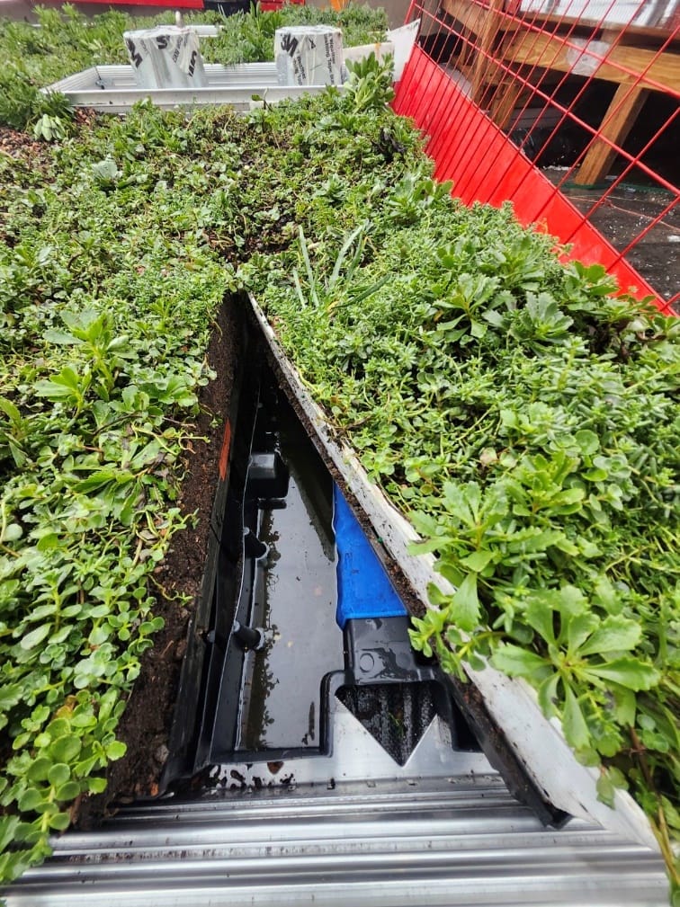 RoofBlue Detain — controlled stormwater release
