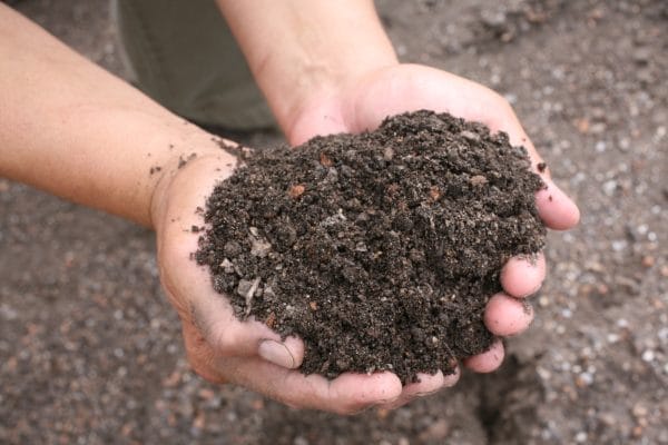 Engineered Soil